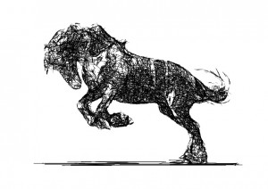paard