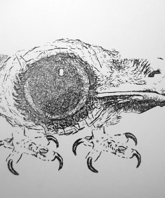 studio-work-26