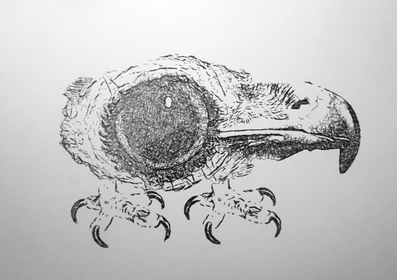 studio-work-26