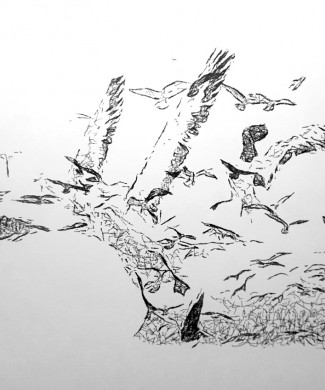 studio-work-27