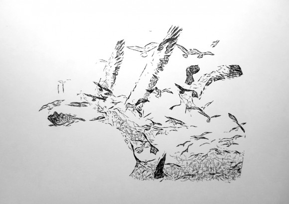studio-work-27