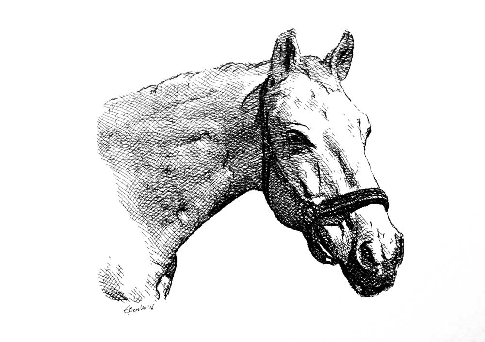 Paard laten tekenen